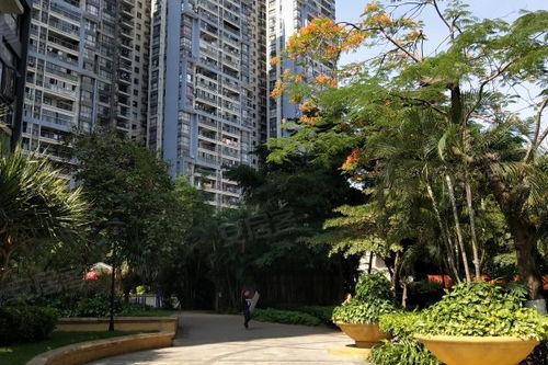 中惠新城居住體驗及周邊中介評價分析